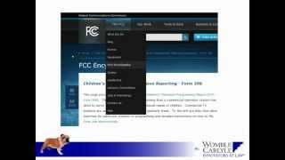 FCC License Renewal - Presented by Gregg Skall, Womble Carlyle