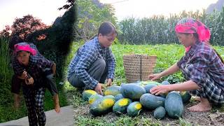 After harvesting melons together, my younger sister went to sell them and fell into the stream.