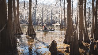 Kayak Camping Caddo Lake  3 Day Swamp Survival