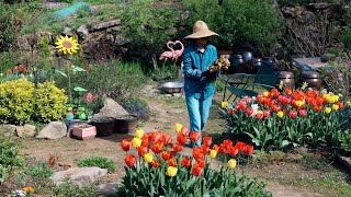 Daily life in the Korean countryside, harvesting and eating straight from the garden~!!