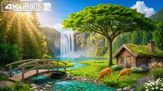 Healing Music for Emotional Balance 🌿 Relaxing Piano Music & Nature Sounds for Stress Reduction