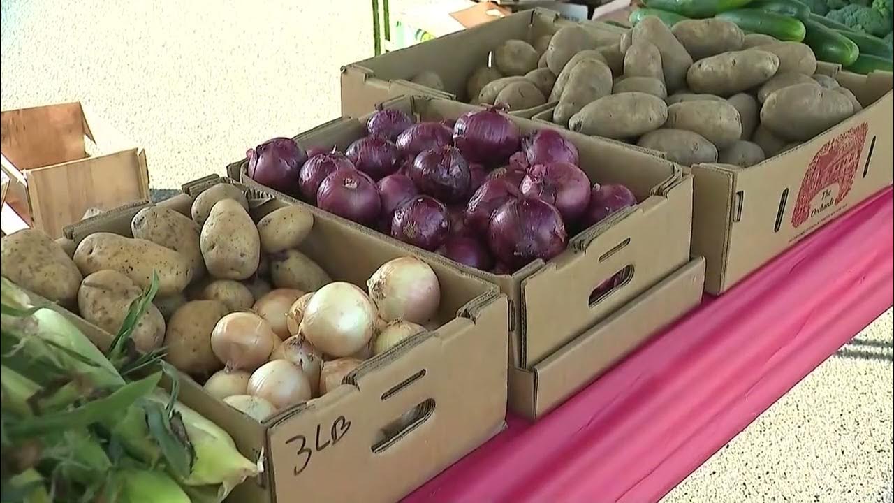 'Sundays at the Mall!' New farmer’s market opens in Paramus YouTube