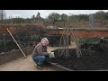 How to sow and grow peas at home | Grow Your Own | The RHS