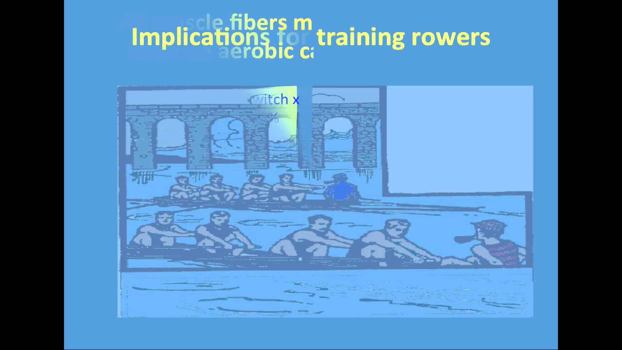 Maglischo: Training Fast Twitch Muscle Fibers