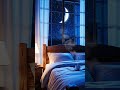 Listen to music, feel relaxed, sleep well, be happy, and be comfortable.#relaxing #sleep #music
