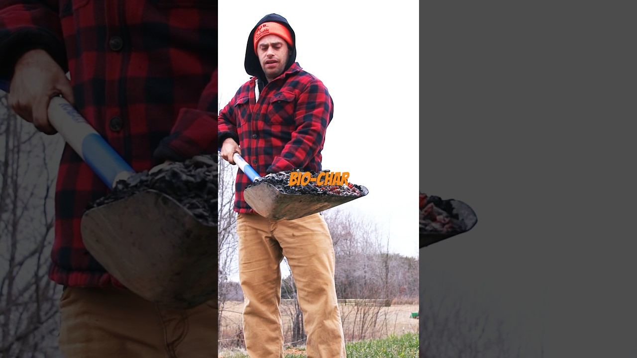 Do you throw bio char in your garden? #gardening #farmer #homestead #farmlife