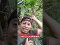 KATES CALIPORNIA #shorts