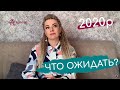 Что ожидать от 2020 года?  Особенности года Белой Металлической Крысы