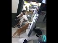 Самое опасное Кошачье ОПГ замечено у холодильника 😂 #котики #прикол #смешно #shorts
