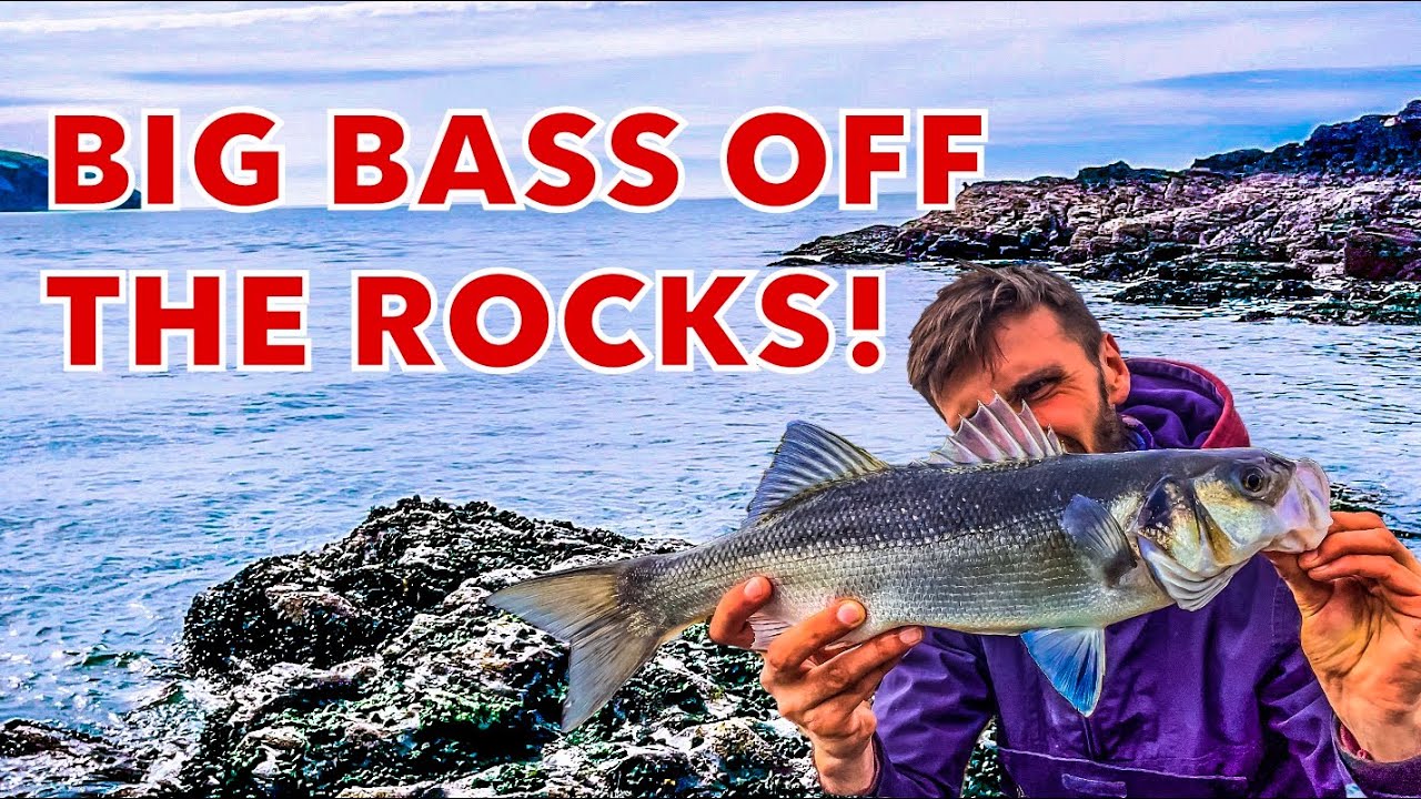 Lure Fishing For Big Bass!🎣 | Sea Fishing UK🌊🇬🇧
