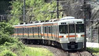 JR東海御殿場線211系313系谷峨駅の交換 - YouTube