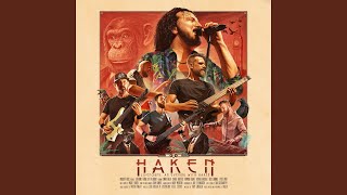 Elephants Never Forget (Live in London 2024)