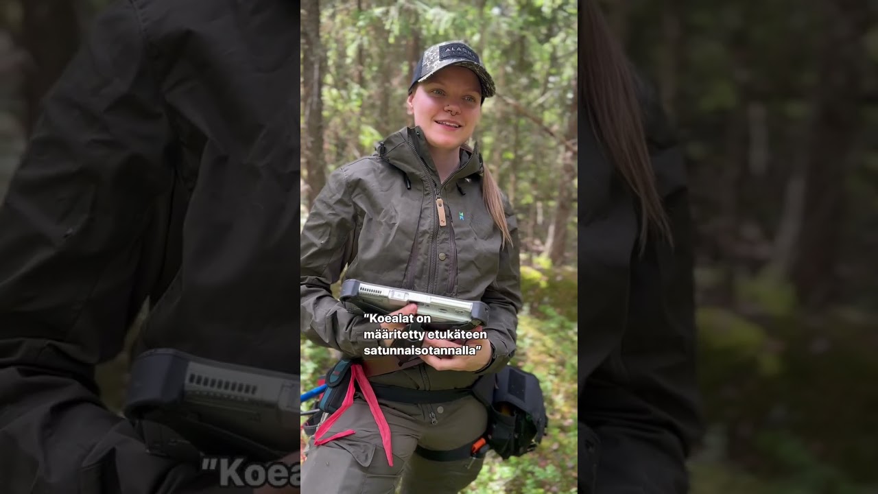 Valtion vanhojen ja luonnontilaisten metsien inventointi 2024-2025 -projekti