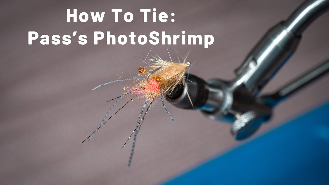 Как завязать: фотокреветку Пасса | Карибская мушка для ловли костных рыб
