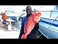 { First Time Deep Sea Fishing On a Charter Boat Catching Massive Red Snappers In Florida !!!! }