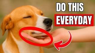 20 SIMPLE Things That Make Your Dog REALLY HAPPY (You’re Missing Them!)