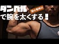 ダンベルで腕を太くする！【初心者向け】ホームトレーニングのススメダンベル編vol 5