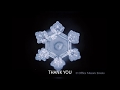 Dr. Emoto's Water Experiment