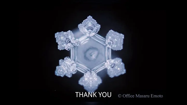 Dr. Emoto's Water Experiment