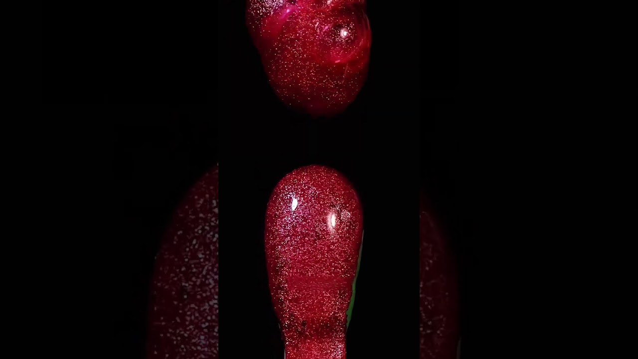 🌈 beautiful macro video ⚠️