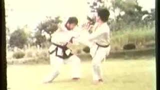 Joon M Jee Hapkido Cane Techniques