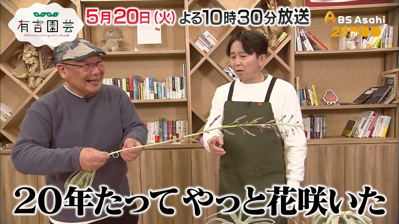 大量生産で大儲けも夢じゃない!?エアープランツドリーム！【夢が咲く