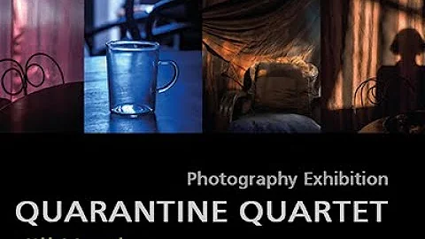 Quarantine Quartet   Jill Hartley