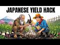 The "Illegal" Trick Japanese Farmers Do Every March — It Triples Your Harvest for Free