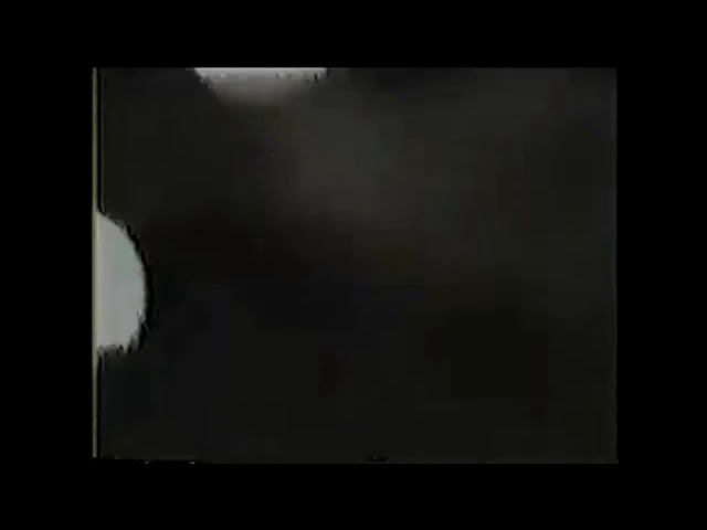 B’z - Survive
