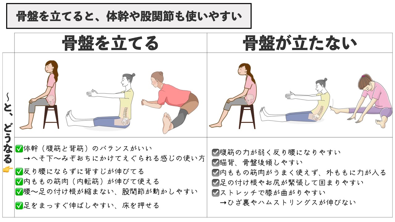 【股関節の硬さとる】開脚で内ももやひざが張る原因と自分でできる骨盤矯正ストレッチ
