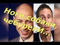Дмитрий Гордон.Алексей Панин. Калоприемник и дурачок!!!🤣
