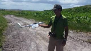 Mini Coyote V Tail Slope glider