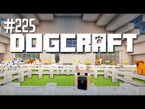 QUONSET QUANDARIES - DOGCRAFT (EP.225)