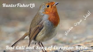 صوت الحميري - صوت جديد و حصري. Call And Song Of European Robin