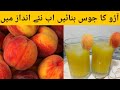 Arro ka juicesharbat by maryams kitchen      refreshing drink  healthy drink