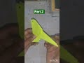 A fun and creative paper craft made with just a few folds.part 2 #CreativeHobbies #OrigamiParrot