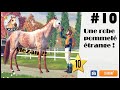 Rival stars horse racing   ep 10  multijoueurs des  poulains une  balade et un micro de m 