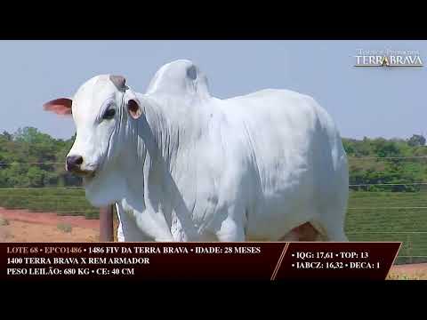 LOTE 68   EPCO 1486