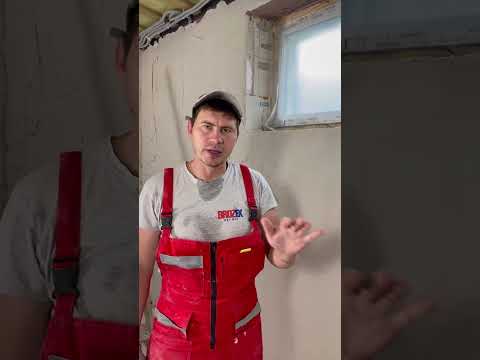 ПЛЕСЕНЬ В ШТУКАТУРКЕ