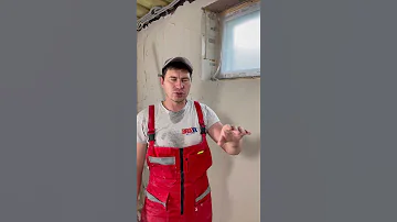 ПЛЕСЕНЬ В ШТУКАТУРКЕ
