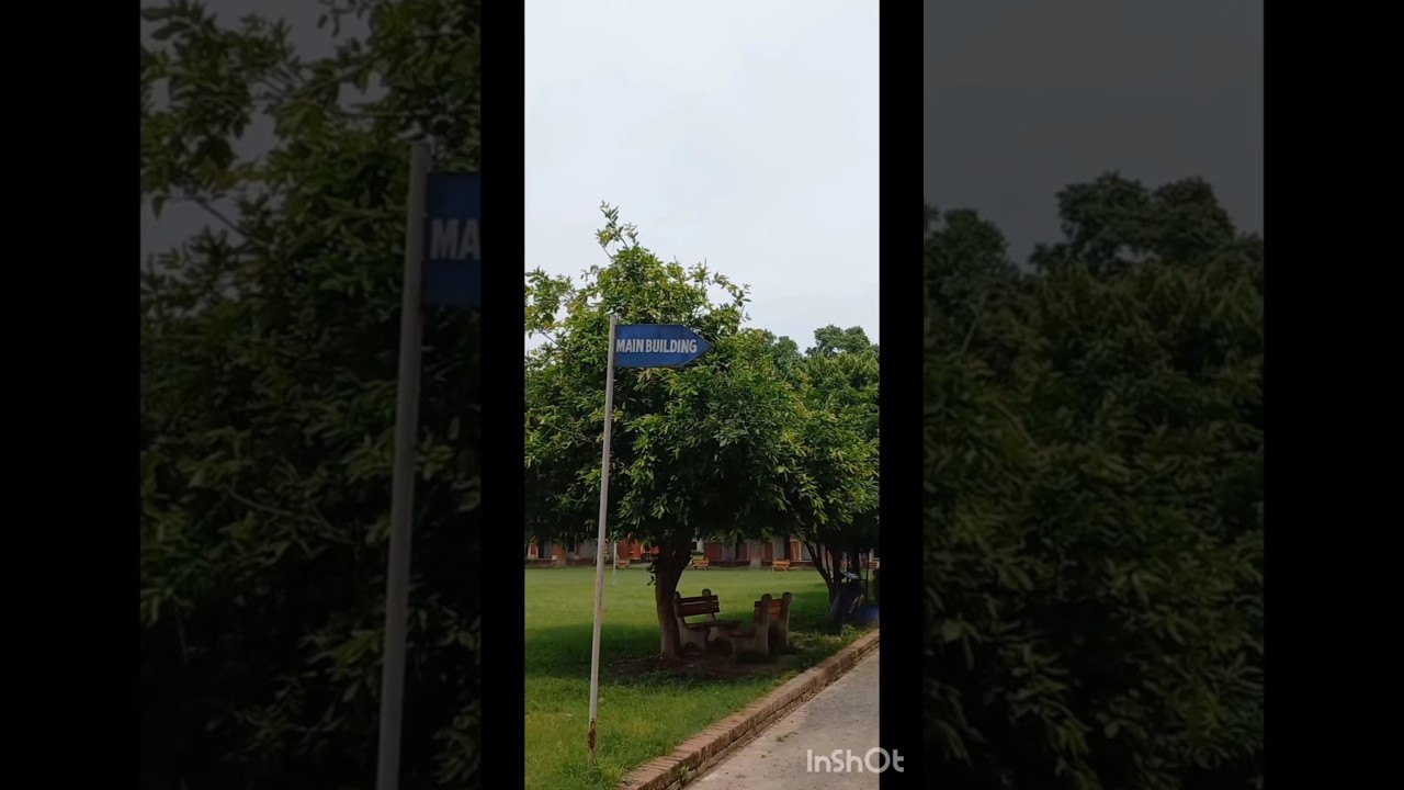 This is how semester three looks in ecc.  