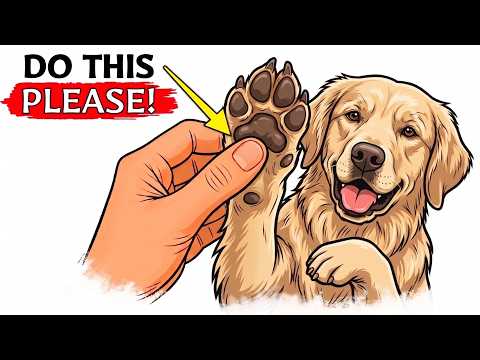 5 Things Dogs LOVE That Owners Rarely Do | understanding dog behavior