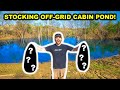 STOCKING My Off-Grid CABIN Backyard POND with BASS!!!