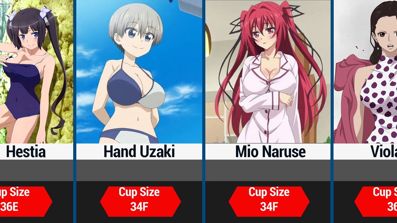 Anime Waifu With Their Breast Size Comparison