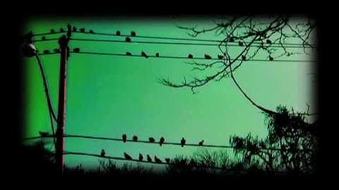 magical night - sublime reflection