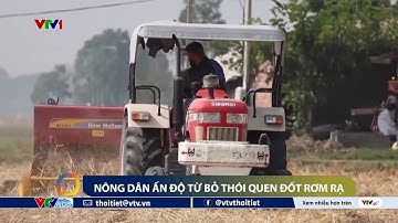 Nông dân Ấn Độ từ bỏ thói quen đốt rơm rạ | VTVWDB
