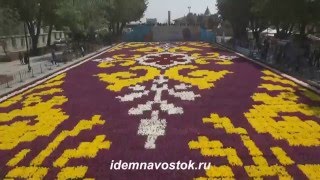 Самый большой в мире ковер из тюльпанов в Стамбуле 2016