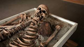 Is This The Logical Explanation For Vampires? Top 10 Secrets And Mysteries - 102