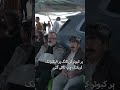 Unique Pigeon Race Held in Najaf, Iraq | 830 Birds Fly 480km from Basra