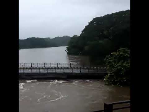 pune-rains---holkar-bridge-closed..-#pune-#punerains-#flooding